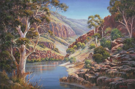 Ormiston Gorge by John Bradley art print