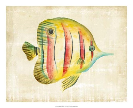 Aquarium Fish III by Chariklia Zarris art print