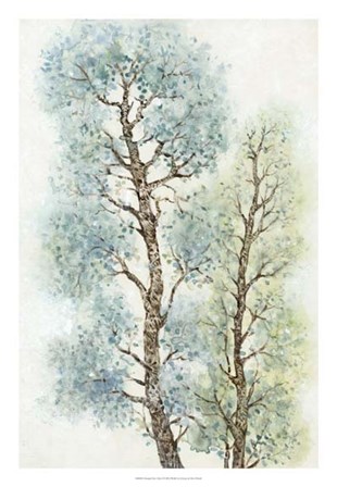 Tranquil Tree Tops I by Timothy O&#39;Toole art print
