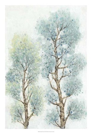 Tranquil Tree Tops II by Timothy O&#39;Toole art print