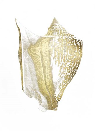 Gold Foil Shell III by Vision Studio art print
