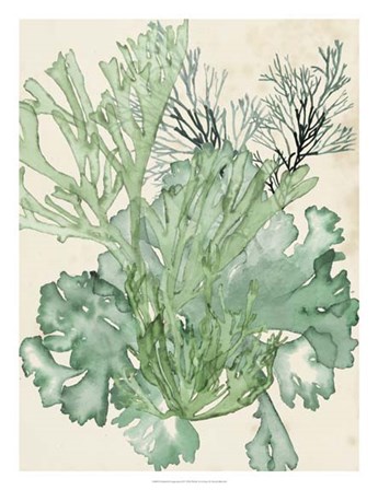 Seaweed Composition II by Naomi McCavitt art print