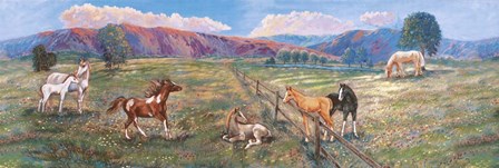 Horses With Fence In Pasture by Judy Mastrangelo art print