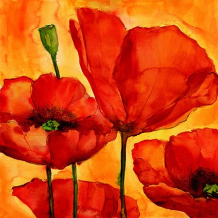 Coquelicots I by Giuseppina Tartagni art print