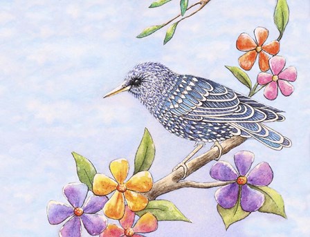 Starling Bird with Flowers by Michelle Faber art print