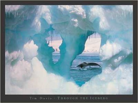 Through the Iceberg by Tim Davis art print