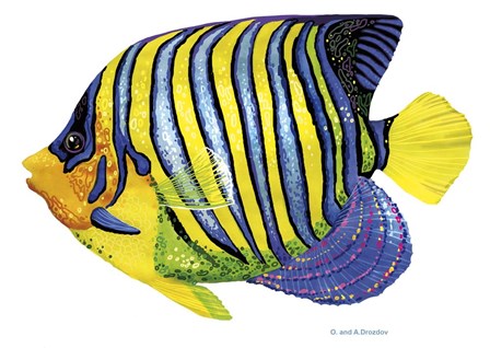 Fish 2 Blue-Yellow by Olga and Alexey Drozdov art print