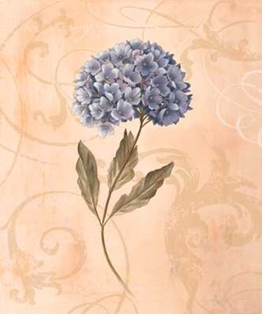 Hydrangea by Virginia Huntington art print