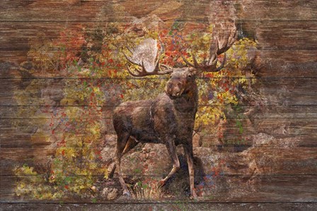 Moose Meadow by Ramona Murdock art print