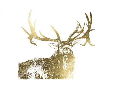 Gold Foil Elk by Naomi McCavitt art print