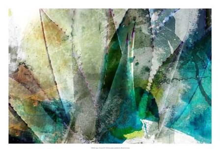 Agave Abstract II by Sisa Jasper art print