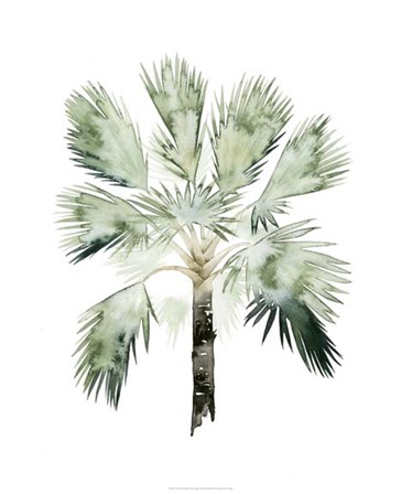 Watercolor Palm of the Tropics I by Grace Popp art print