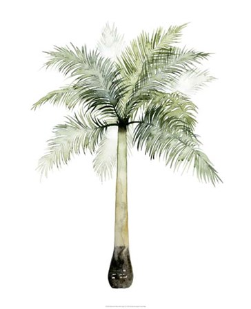 Watercolor Palm of the Tropics II by Grace Popp art print