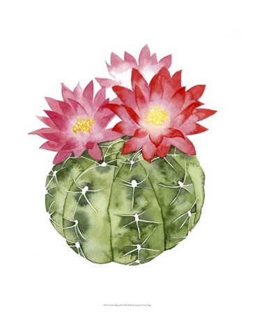 Cactus Bloom III by Grace Popp art print