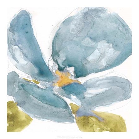 Flower Splash II by Jennifer Goldberger art print
