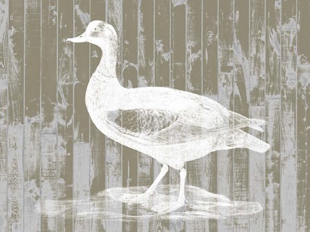 Woodgrain Fowl II by Jennifer Goldberger art print