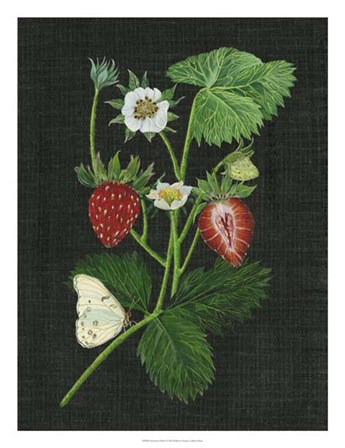 Strawberry Fields I by Melissa Wang art print