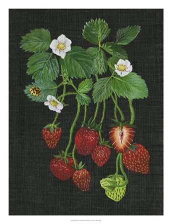 Strawberry Fields II by Melissa Wang art print