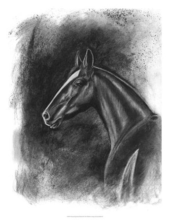 Charcoal Equestrian Portrait II by Naomi McCavitt art print