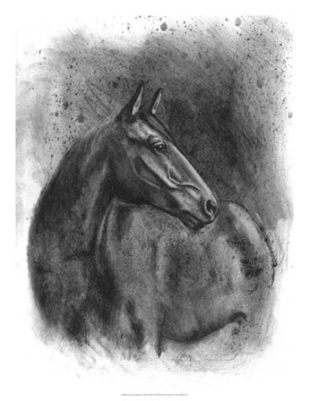 Charcoal Equestrian Portrait III by Naomi McCavitt art print