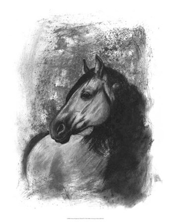 Charcoal Equestrian Portrait IV by Naomi McCavitt art print