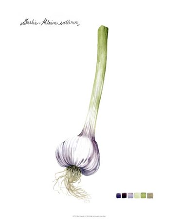 Root Vegetable I by Grace Popp art print
