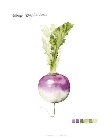 Root Vegetable VI by Grace Popp art print