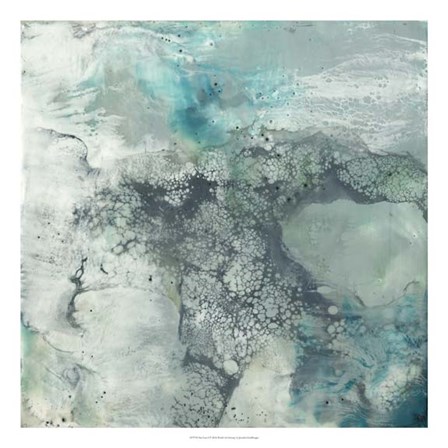 Sea Lace I by Jennifer Goldberger art print