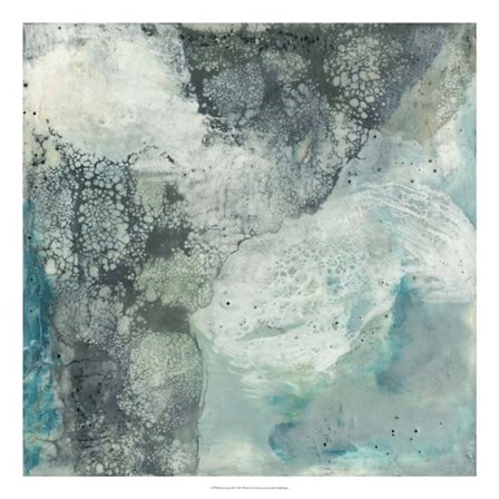 Sea Lace II by Jennifer Goldberger art print