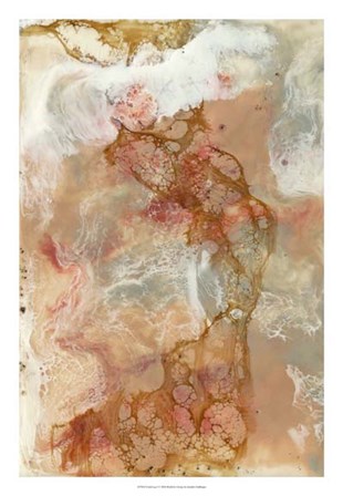 Coral Lace I by Jennifer Goldberger art print