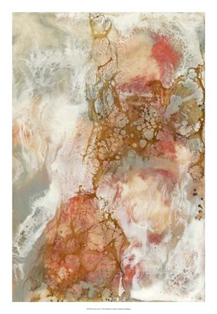 Coral Lace II by Jennifer Goldberger art print