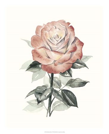 Beholden Rose I by Grace Popp art print