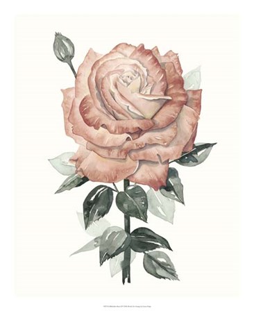 Beholden Rose II by Grace Popp art print