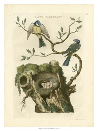 Nozeman Birds &amp; Nests  III by Nozeman art print