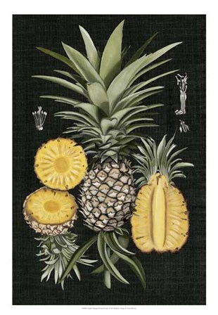 Graphic Pineapple Botanical Study I by Naomi McCavitt art print