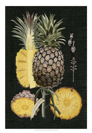 Graphic Pineapple Botanical Study II by Naomi McCavitt art print