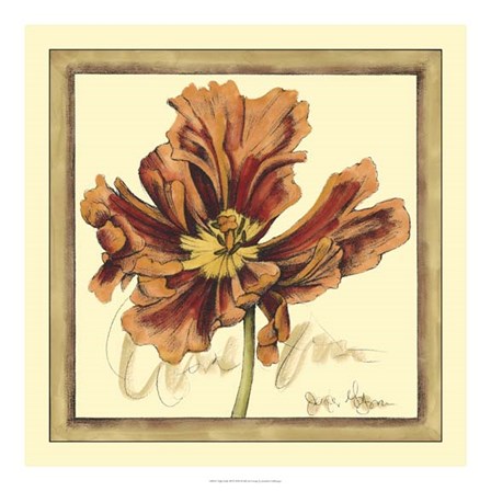 Tulip Study III by Jennifer Goldberger art print