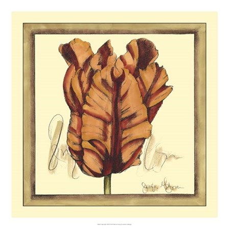 Tulip Study VIII by Jennifer Goldberger art print