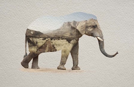 African Elephant Erongo Namibia by Color Me Happy art print