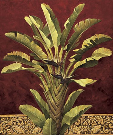 Traveler&#39;s Palm by Rodolfo Jimenez art print