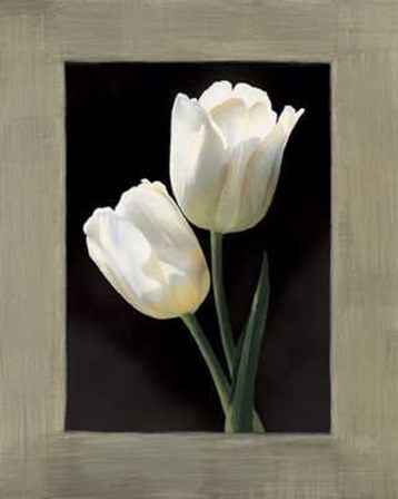 Tulipani Bianchi by Andrea Trivelli art print