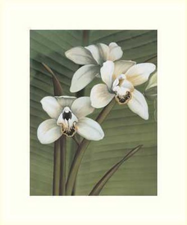 Orchid with Palm I by Andrea Trivelli art print