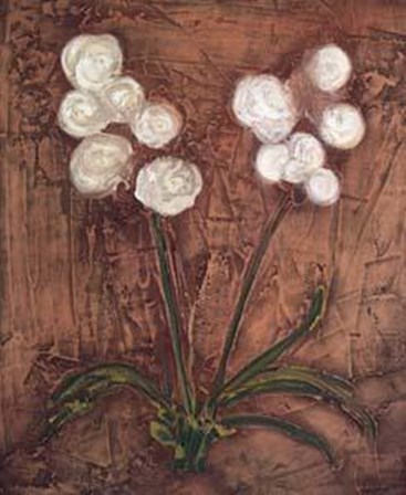 White Flowers on Red II by C. Hartman art print