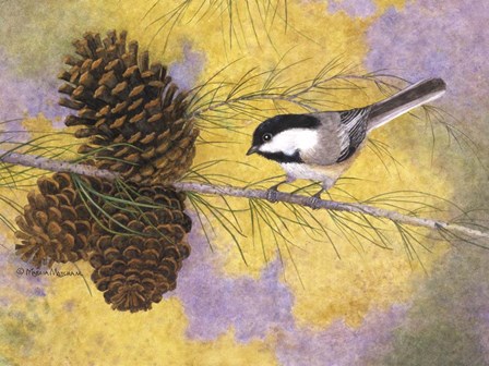 Chickadee in the Pines II by Marcia Matcham art print