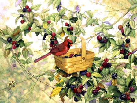 Berry Picker by Marcia Matcham art print