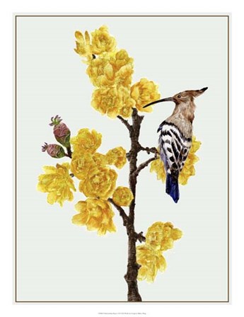 Chimonanthus Praecox II by Melissa Wang art print