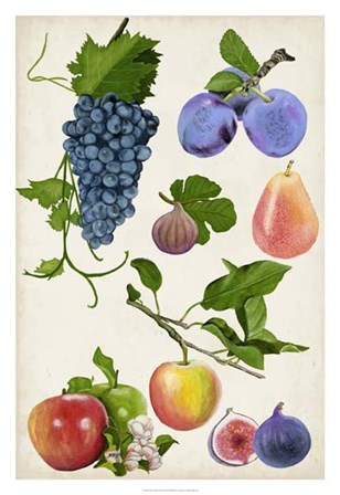 Fruit Collection II by Naomi McCavitt art print