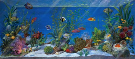 Acquario by Isabella Cuccato art print