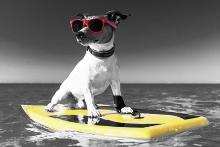Pop of Color Surf&#39;s Up Dog by Color Me Happy art print
