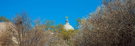 Dome of a government building, Old Mississippi State Capitol, Jackson, Mississippi by Panoramic Images art print